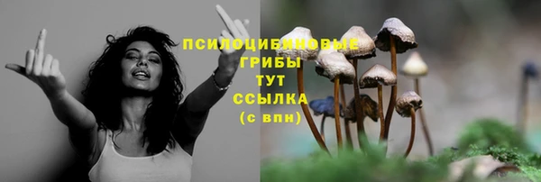 скорость Володарск