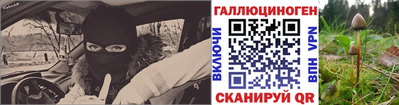 Псилоцибиновые грибы мухоморы  Долгопрудный 